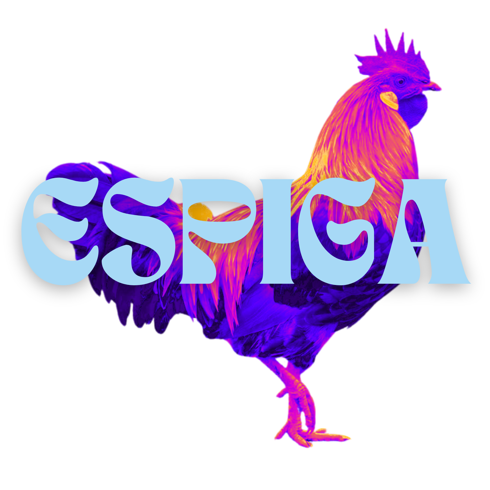 ESPIGA